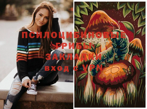 не бодяженный Новодвинск