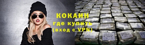 скорость Новозыбков