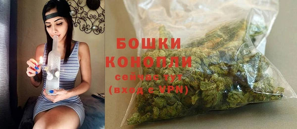 не бодяженный Новодвинск
