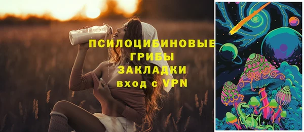 не бодяженный Новодвинск