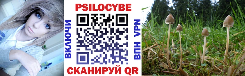 Псилоцибиновые грибы MAGIC MUSHROOMS  Суоярви 